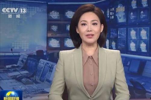 央视主播郑丽个人资料,央视主播的优雅与智慧